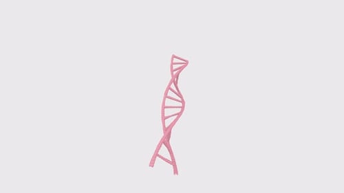 Dna isolated on white background