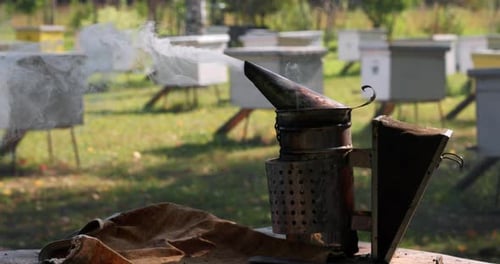 Bee Smoker Near Hive