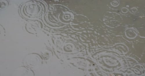 Raindrops falling in a puddles of water on a rainy day.