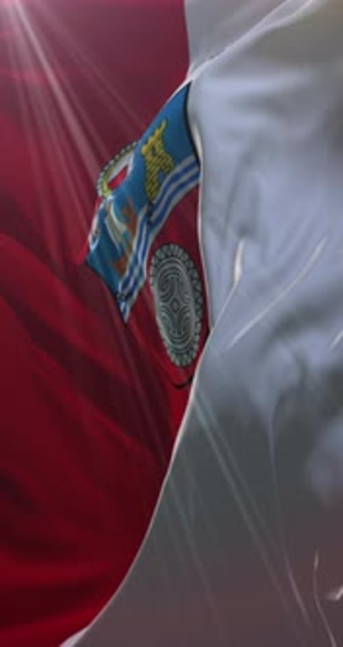 Realistic Waving Flag with Coat of Arms Vertical Loop