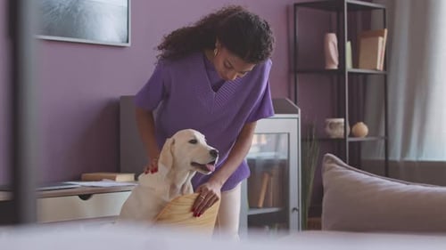 Woman Pets Dog Sitting on Chair Indoors