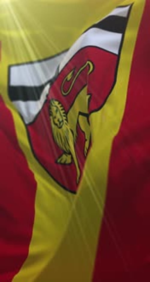 Vertical Waving Flag with Emblem and Golden Lion