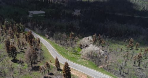 aerial pan over a hairpin loop in a burnt forest in nebo utah