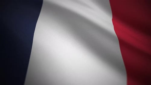 Realistic Waving French Flag Seamless Loop