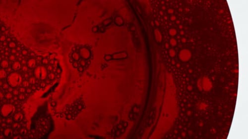 Red Sparkling Wine Bubbles in Glass