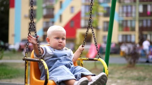 Cute Child Enjoying the Playground Swing