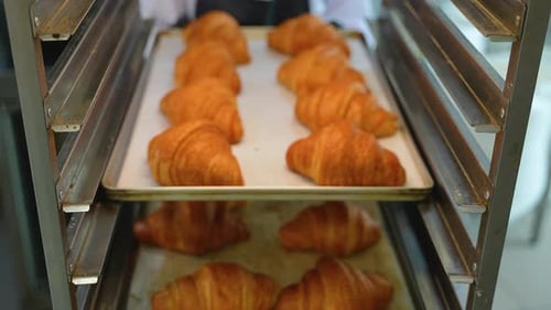 Freshly Baked Croissants on Tray in Bakery Kitchen
