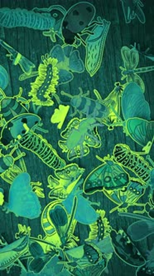Animated Decorative Insects and Butterflies Glowing Vertical Background