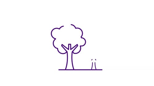 Hand-Drawn CO2 And Trees Environment Icon Animation