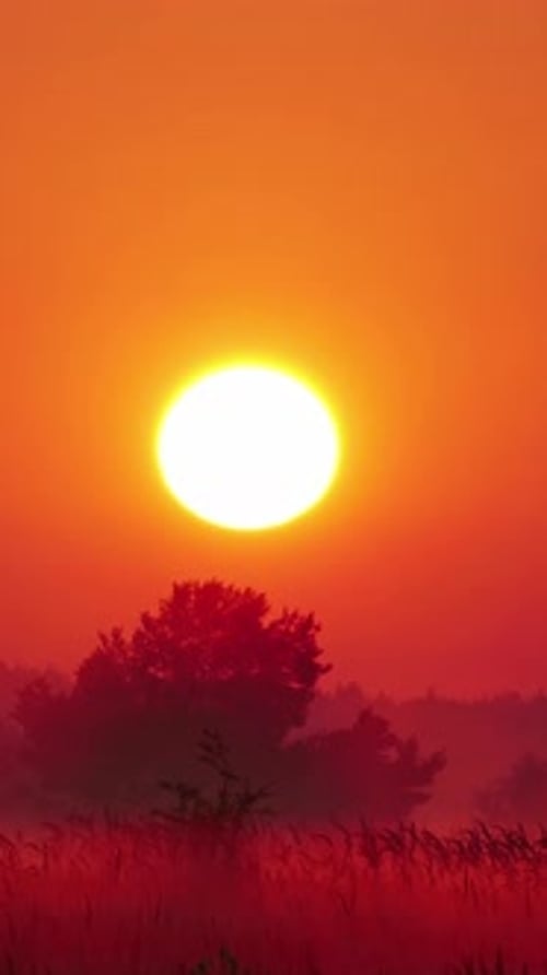 Vertical Screen Sunset or Sunrise Time Lapse Amazing Colours