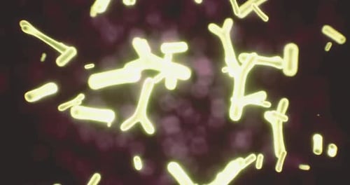 Animated Scientific Background with Abstract Glowing Shapes