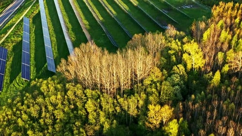 Forest edge and solar panels captured during sunset showing energy and nature contrast