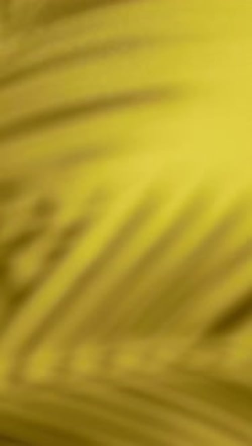 Animated Abstract Palm Leaf Shadow Overlay Vertical Background