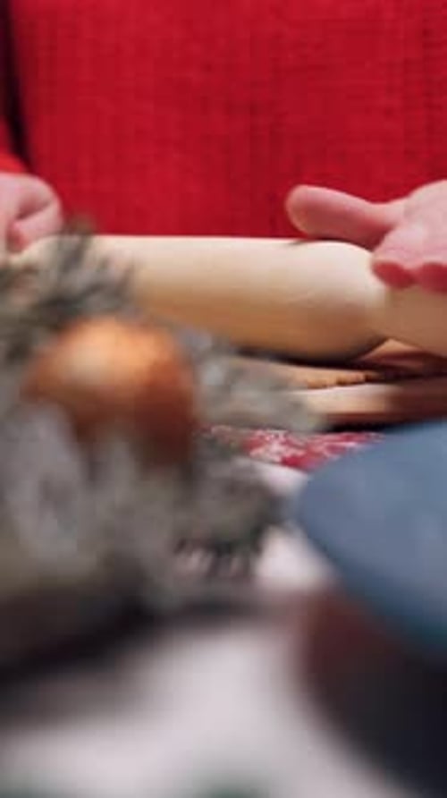 Rolling Cookie Dough with Rolling Pin at Home