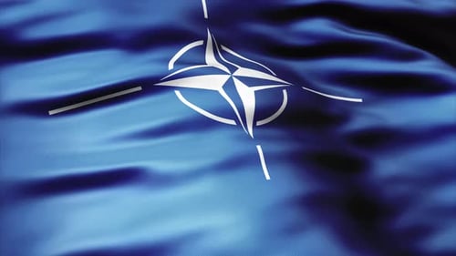 Realistic Waving NATO Flag Animation Seamless Loop