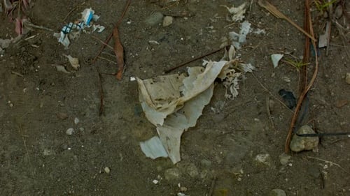 Discarded Litter and Trash on Ground