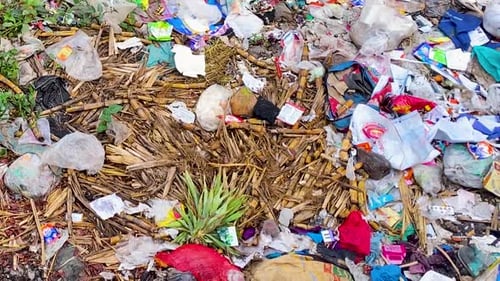 Waste polluted soil non recyclable plastic environment Dhaka Bangladesh