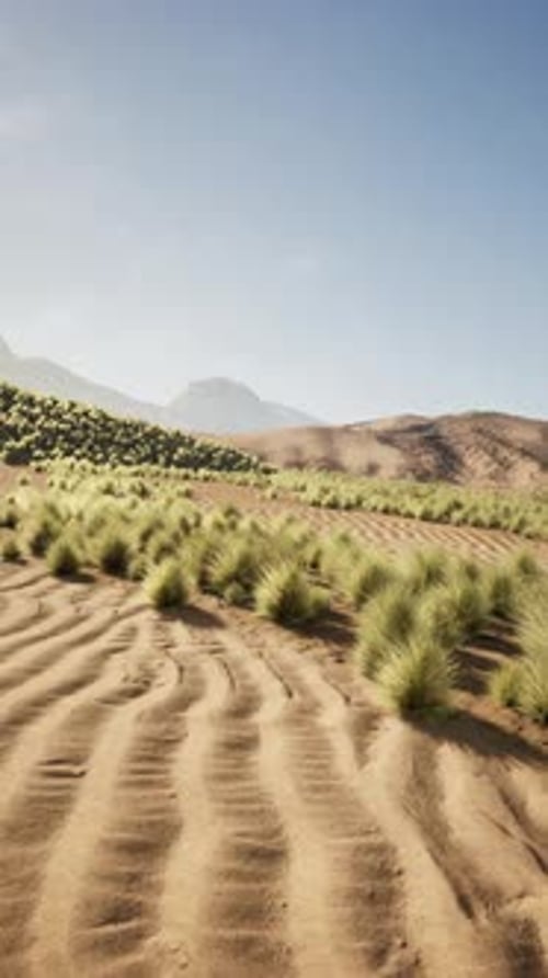 Grass Field With Mountains in Background