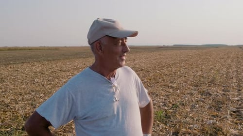 Portrait of senior farmer standing in corn field examining crop after harvesting.