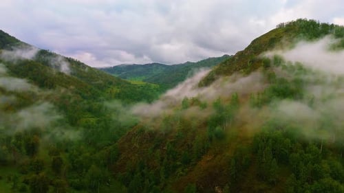Aerial panorama of mountain range covered with trees and drifting clouds. Peaceful wilderness
