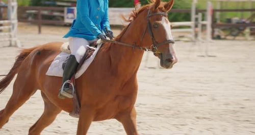 Equestrian Horse and Rider Show Jumping Hurdle