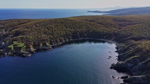 Aerial view of a serene coastal landscape with lush vegetation