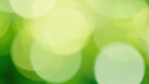 Green Bokeh Light Animation Background