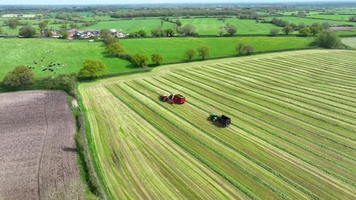 Vue aérienne d'une fourragère tractée ramassant de l'herbe pour l'ensilage
