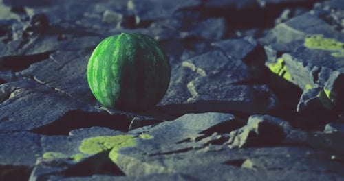 Watermelon Resting on Rocky Terrain in a Mysterious Landscape at Dusk