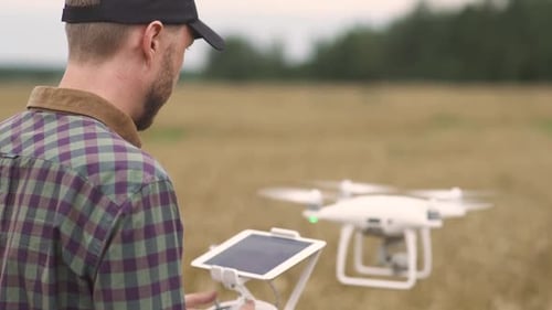 Agricultural Industry Farmer Control the Quadcopter While Standing in the Field of Rye Ecologist