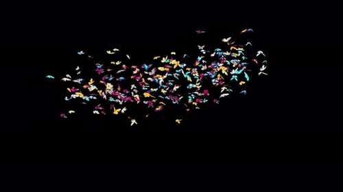 Animated Swarm of Vibrant Butterflies Flying