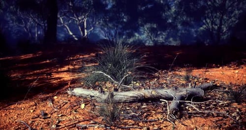 Natural Landscape with Fallen Logs and Native Grasses in a Forest Setting