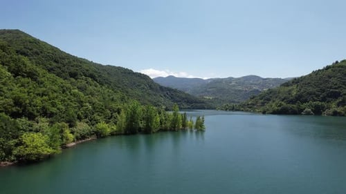 Forest Near Lake