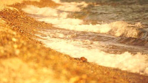 Petites vagues de mer floues, douces et mousseuses, lavant une plage de galets dorés au coucher du soleil, vagues océaniques sur la plage