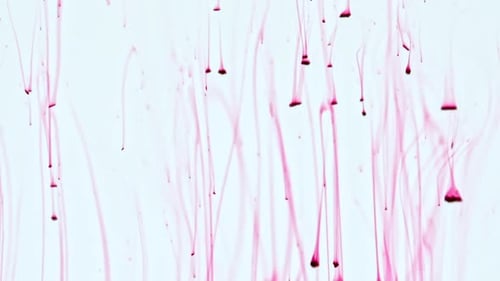 Tinta colorida em água sobre fundo branco: gotas de tinta se misturando em água, tinta girando debaixo d'água, colorida