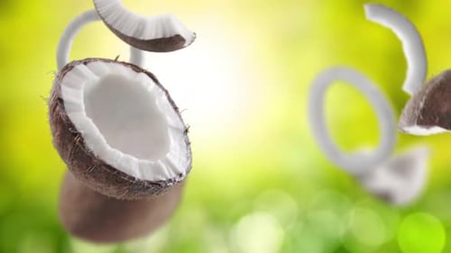 Flying Coconut and Coconuts Slices in Green Garden Orchard Shiny Background