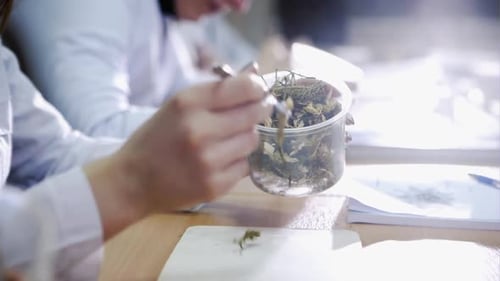 Students Examine Plant Matter in Science Lab