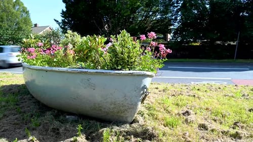 Timelapse of Plants in a Flower Boat Next to the Road in the British Countryside Neighbourhood with