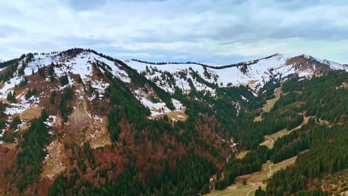 Snow-capped mountains with some green and dry pine trees on the slopes.