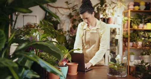 Happy French Mixed Race Female Florists in Apron Working at Flower Shop and