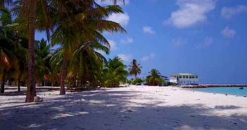 Dolly along beautiful palm beach on tropical Maldives island, no people, 4k