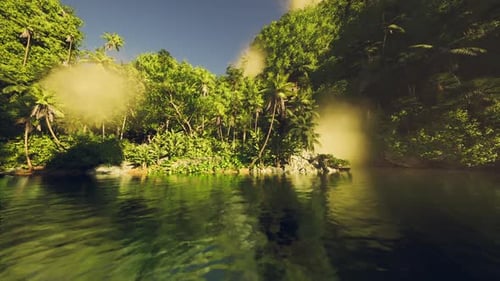 Radiant River Edge Surrounded By Vibrant Forest and Peaceful Atmosphere