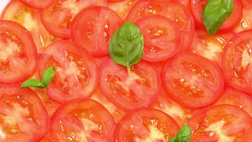 Sliced fresh tomatoes with fresh basil leaves like tomato carpaccio rotate as background