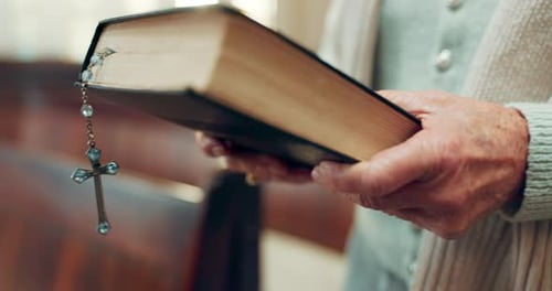 Walking, bible or hands of woman in church ready to worship God, holy spirit