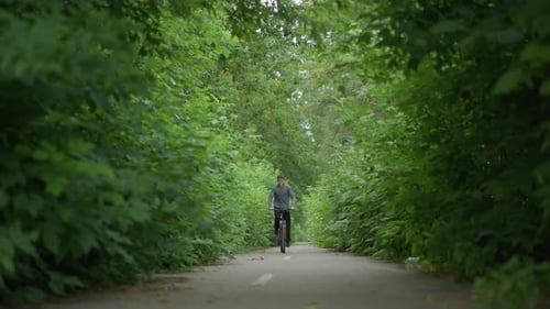 Young Boy Riding Bicycle Through Scenic Green Tunnel Surrounded By Lush Foliage