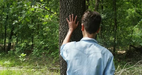 young boy in a green forest in nature , breathe deeply in slow motion , the wind caresses the skin