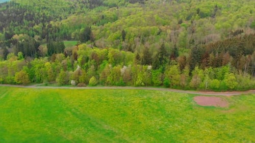 Luftflug über üppig grünen Wald