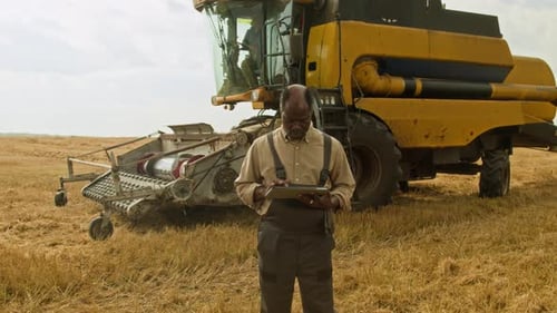 Black Farmer using Digital Tablet in Wheat Field and Looking at Camera