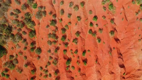 Red Rock Formations With Desert Plants