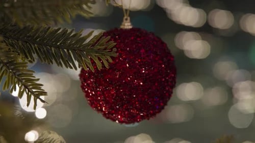 Decorated Christmas Tree Over Blurred Night City Lights at the Celebration Party